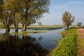 035_Biebrza - maj 2013